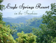 Eagle Springs Resort - Luxury Cabins in the Smokies