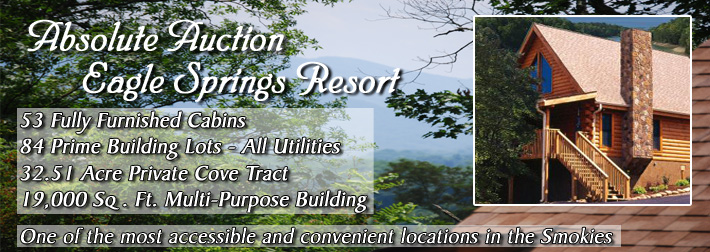 Eagle Springs Resort Auction Luxury Cabins In The Smokies